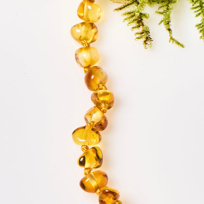 Baltic Amber Necklace - Polished Honey - Children's